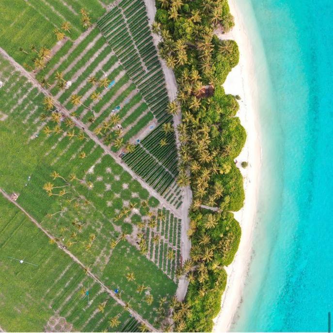 Kingsway Thoddoo Maldives Hotell Exteriör bild