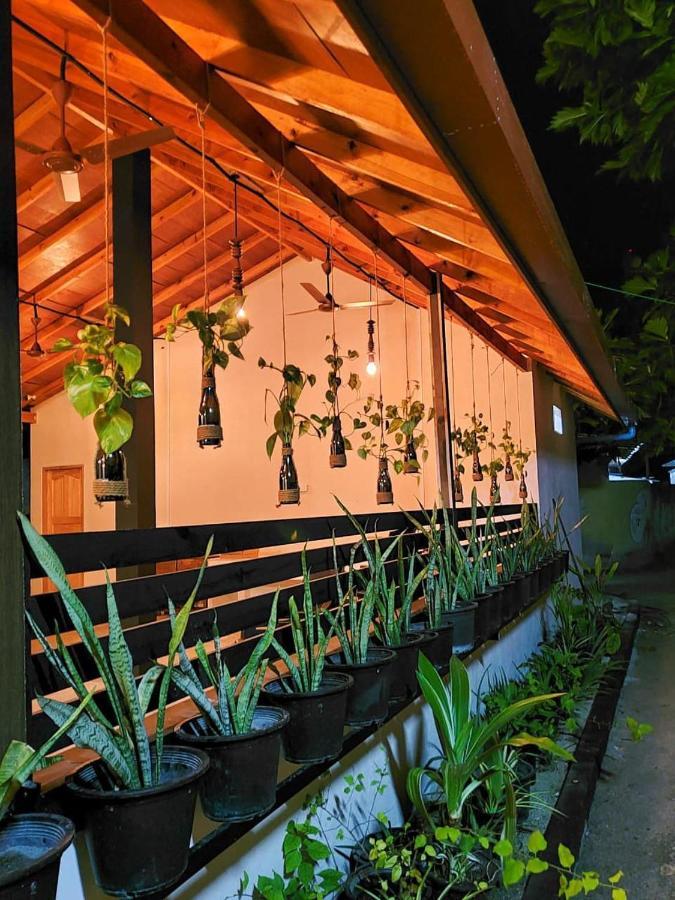 Kingsway Thoddoo Maldives Hotell Exteriör bild